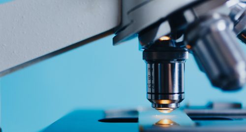 Analisi Microbiologiche
