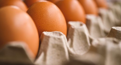Formazione HACCP